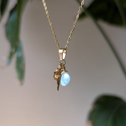 THALASSA ✦ Kette mit Larimar und Muschel