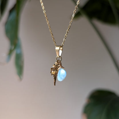 THALASSA ✦ Kette mit Larimar und Muschel